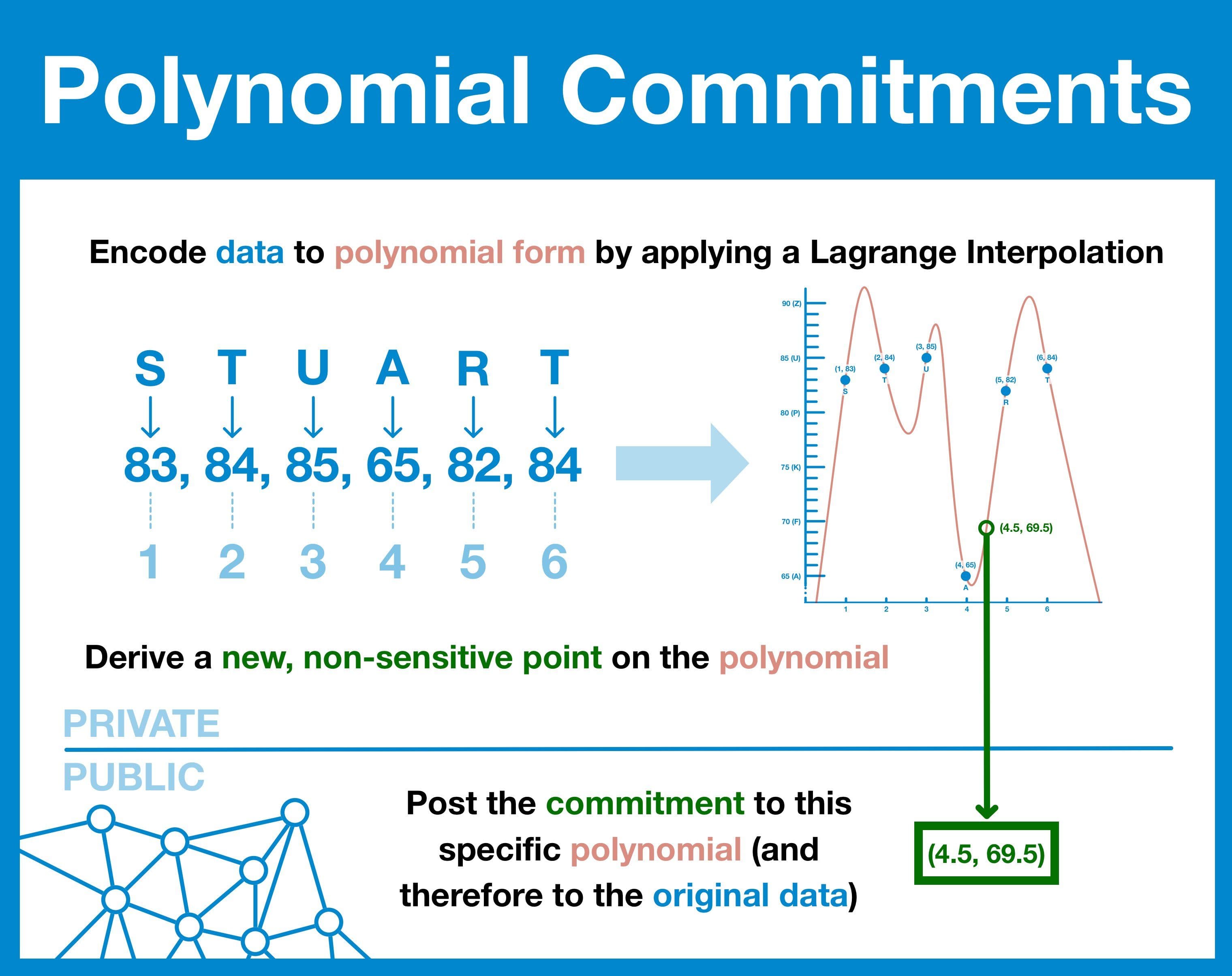 polynomial-commitments